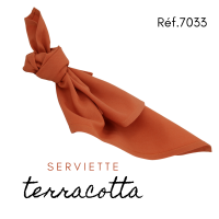 Serviette en tissus - Terracotta