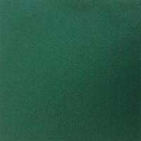 Location serviette Polyester - Vert émeraude