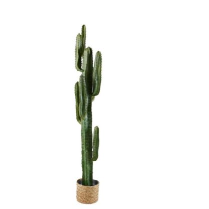Location cactus artificiel