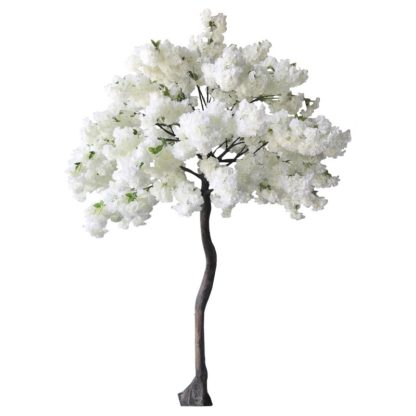Location arbre cerisier blanc H2m70