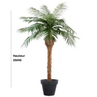 Location palmier artificiel - Hauteur 3M40