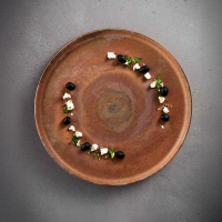 Gamme Terre de Sienne -TERRACOTTA